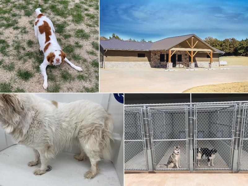 Cedar Canyon Pet Resort LLC