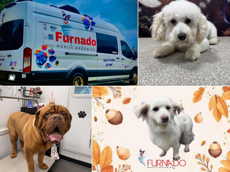 FURnado Mobile Grooming