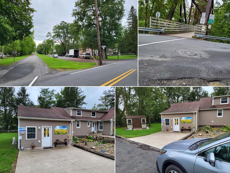 Paw Prints Dog Grooming