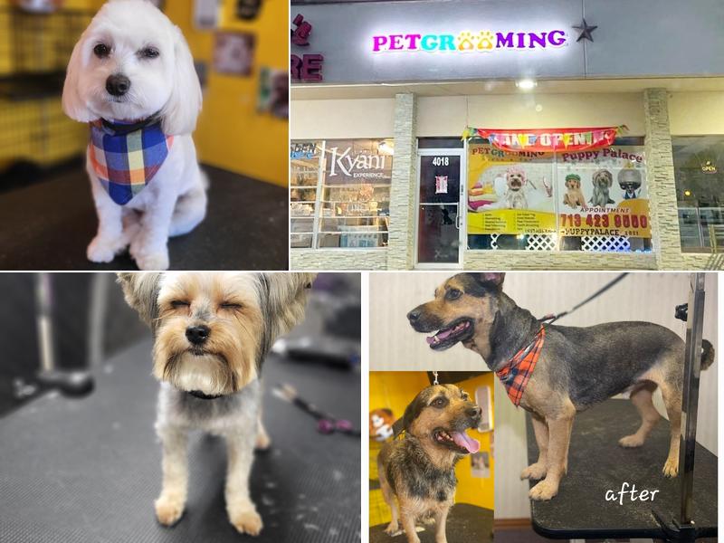 Puppy Palace Dog Grooming Salon & Mobile