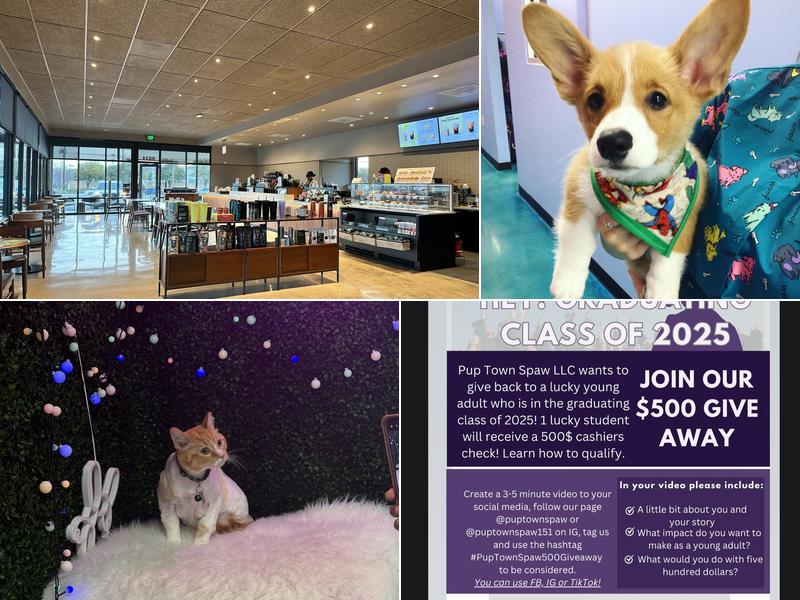 Pup Town Spaw: Self wash and pet grooming