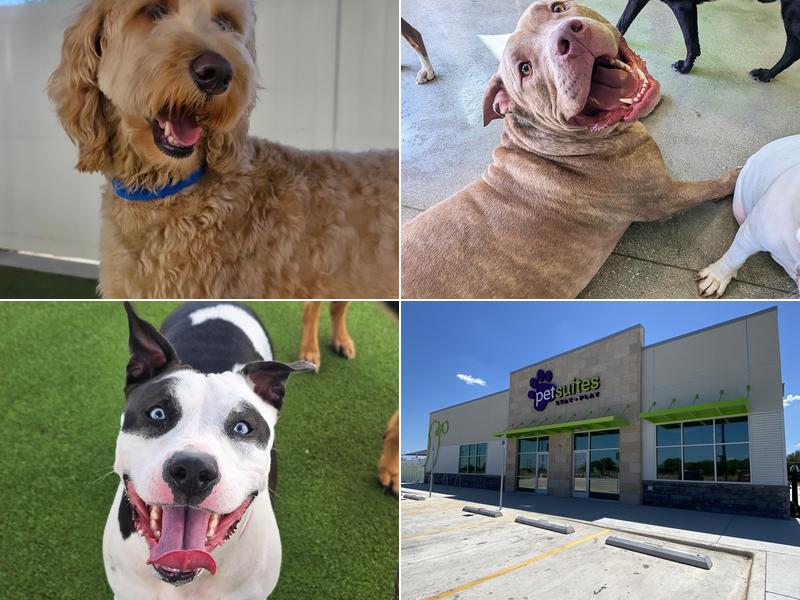 PetSuites Westover Hills