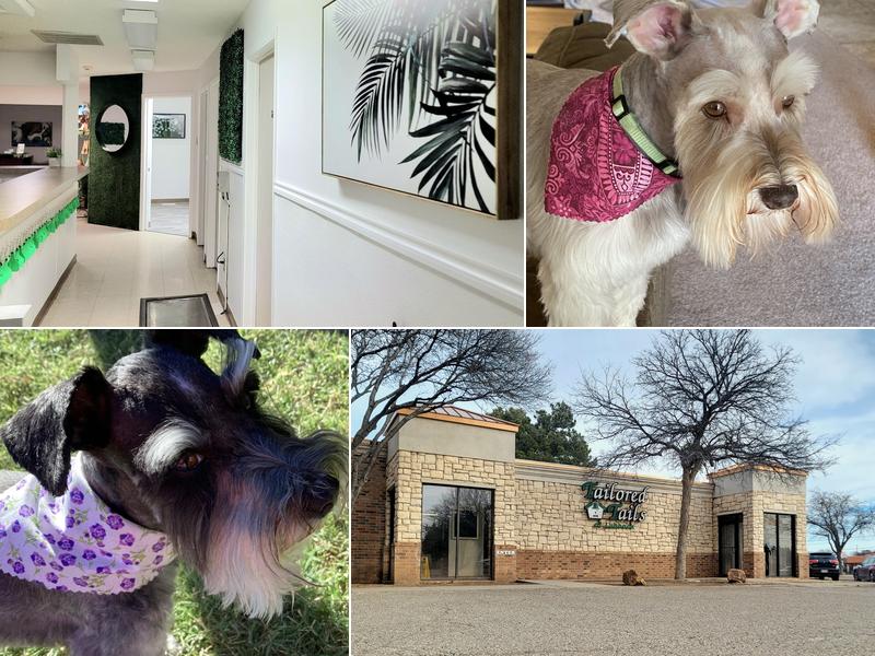 Tailored Tails of Lubbock