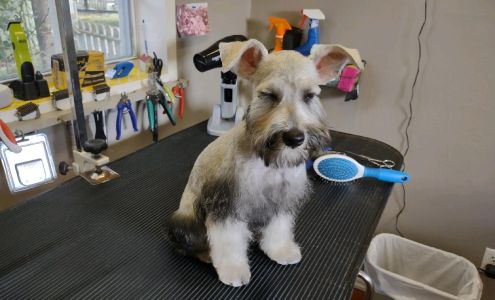 Pretty Pets Pet Grooming 209 N Hedwig St, Riesel Texas 76682