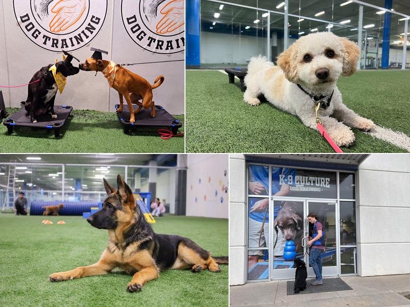 K-9 Culture Dog Training / Boarding / Grooming