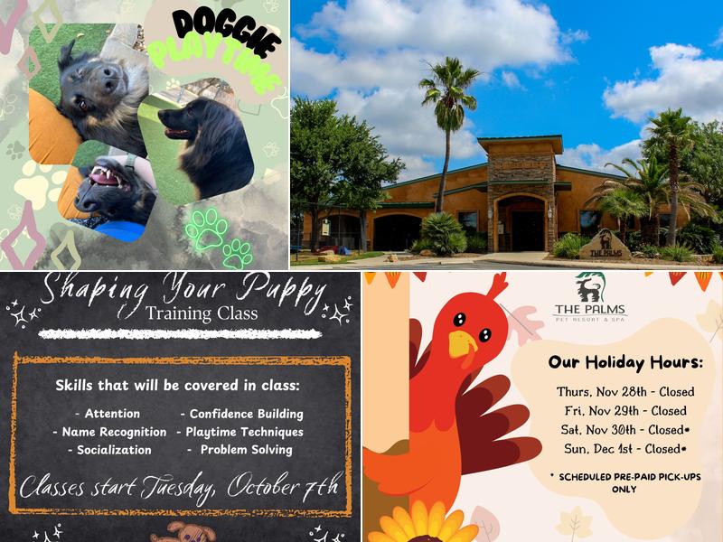 The Palms Pet Resort & Spa