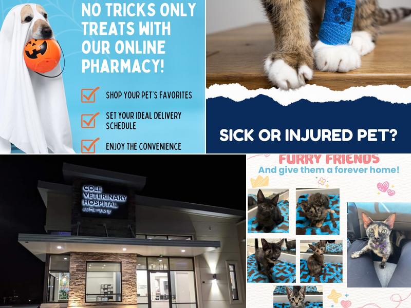 Cole Veterinary Hospital at Harmony