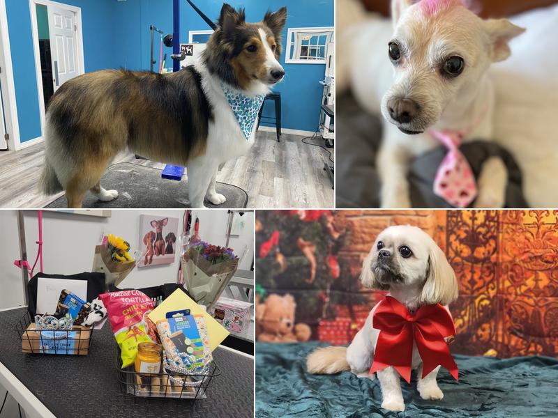 Foxy Roxy Grooming Salon