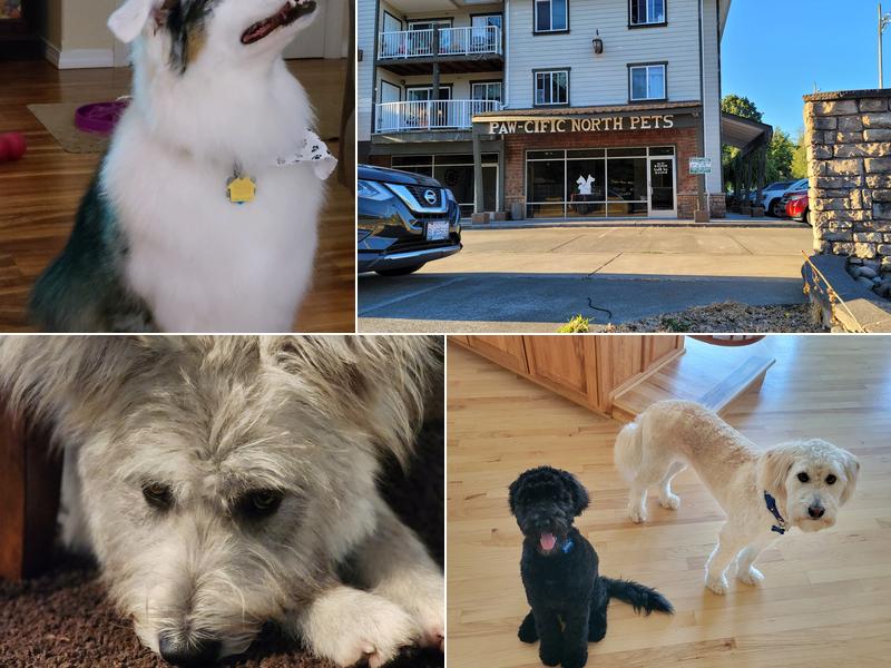 Paw-cific North Pets