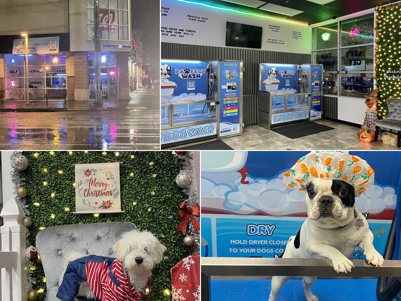 Pawfect Wash Ballard