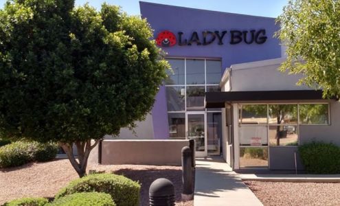 Lady Bug Pest Control