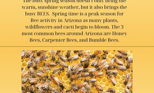 Beebe's Pest, Termite and Bee Service LLC