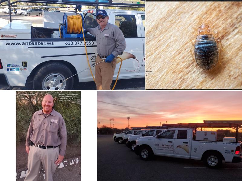 Anteater Exterminating Inc.