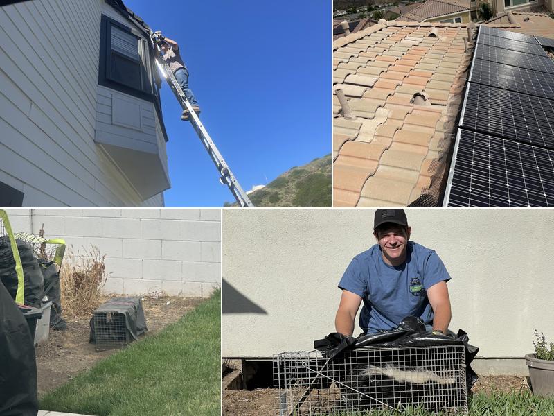 Traction Wildlife and Pest Control