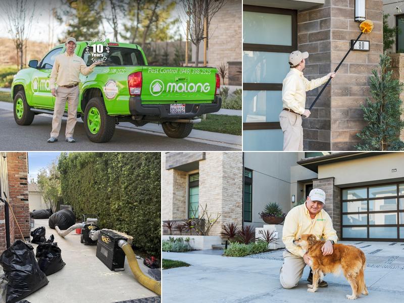 Malang Pest Control