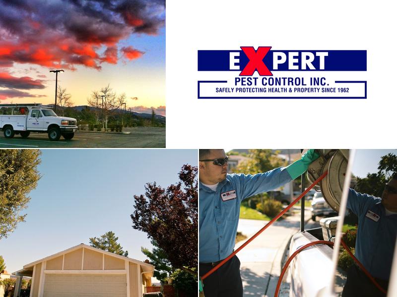 Expert Pest Control