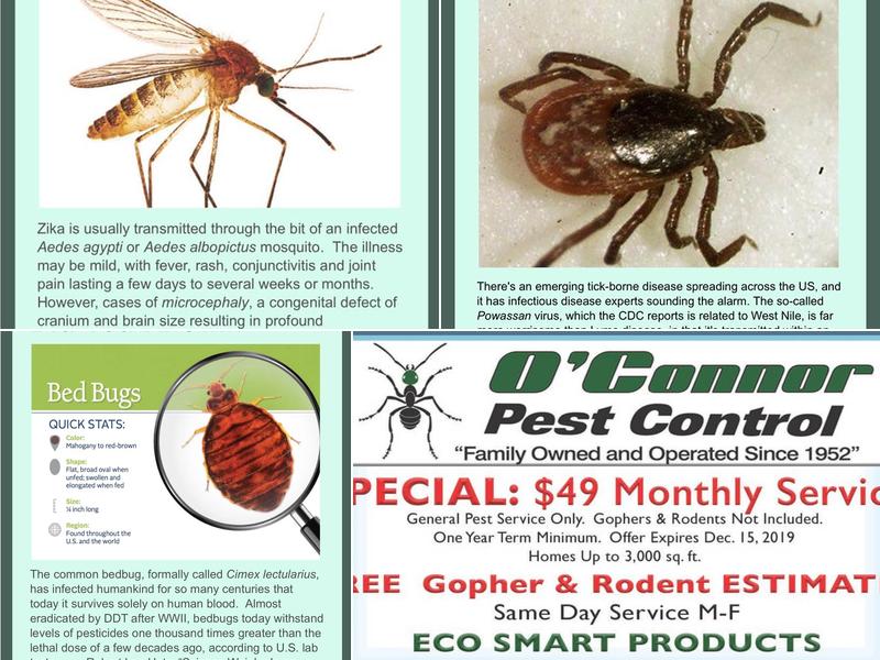 O'Connor Pest Control