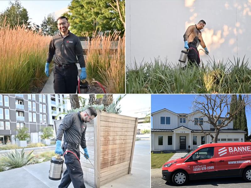 Banner Pest Services