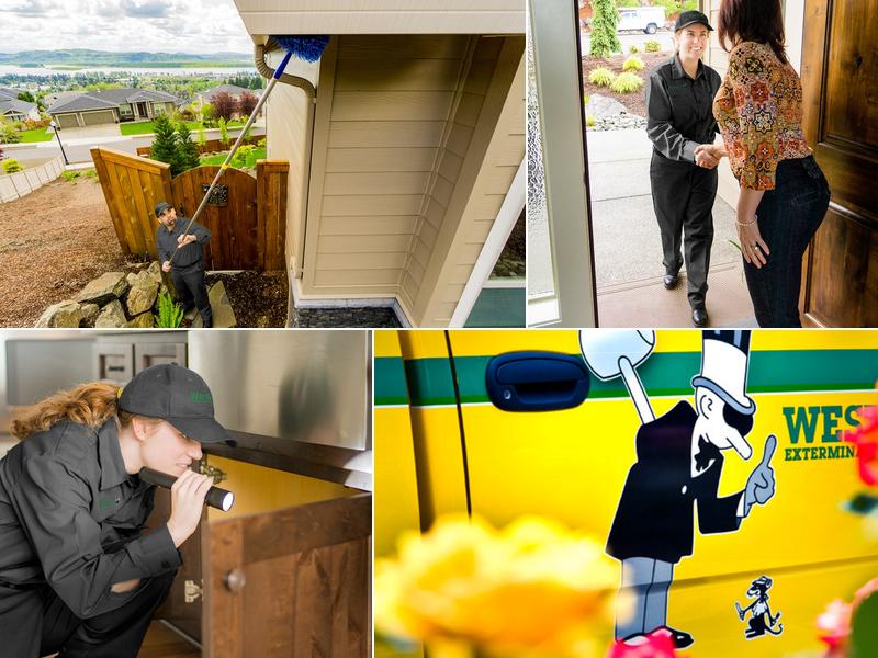 Western Exterminator