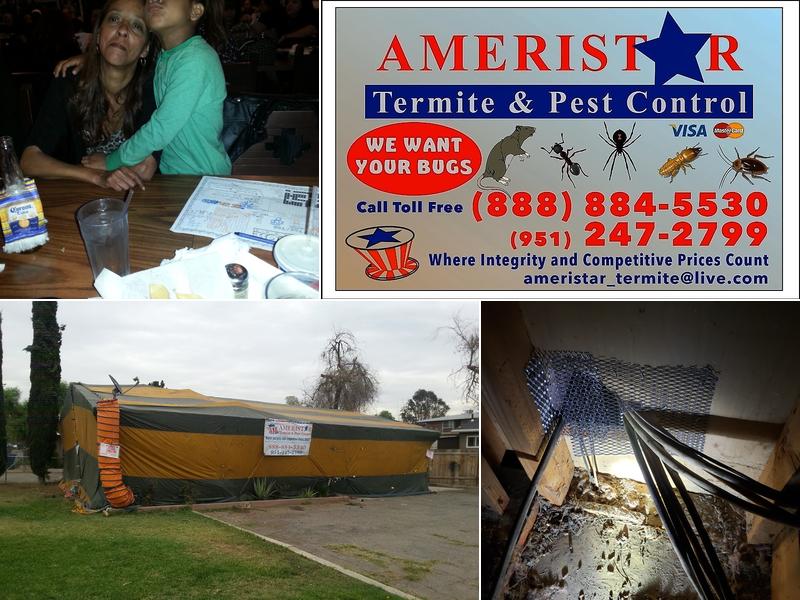 Ameristar Termite & Pest Control