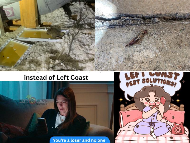 Left Coast Pest Solutions