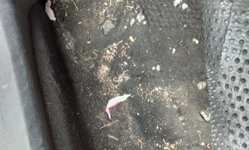 Exclusive Shine Mobile Detailing