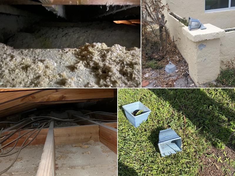 Termite Professionals