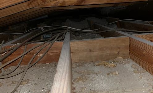 Termite Professionals