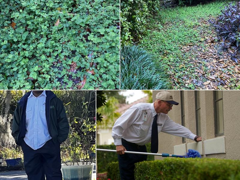 Massey Services Pest Control