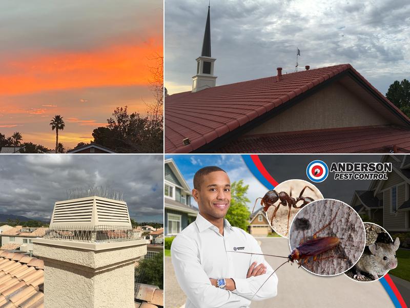 Anderson Pest Control, LLC