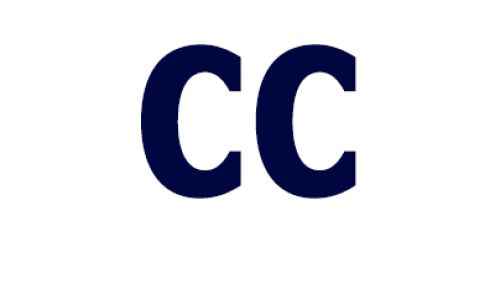 Champion Chimney Inc.