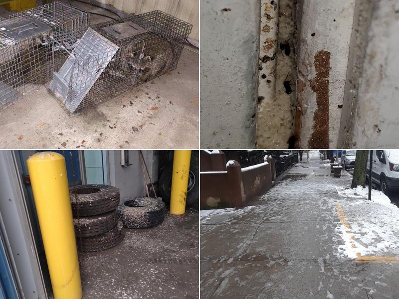 Flash Exterminating - Brooklyn 11206