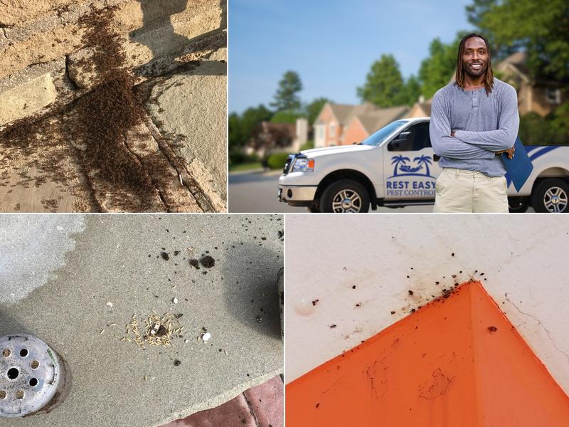 Rest Easy Pest Control