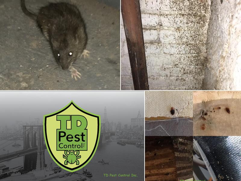 TD Pest Control Inc.