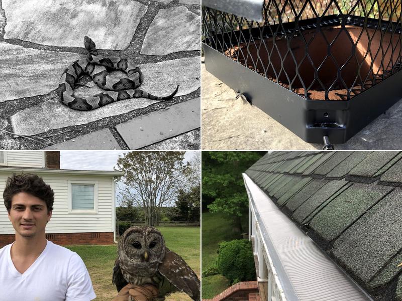 On Call Wildlife and Gutter Guard