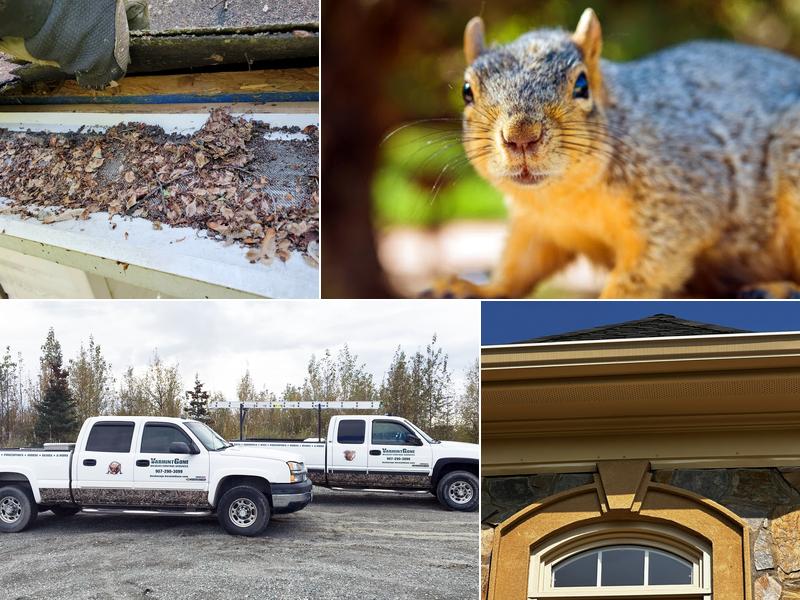 Varmint Gone Cornelius