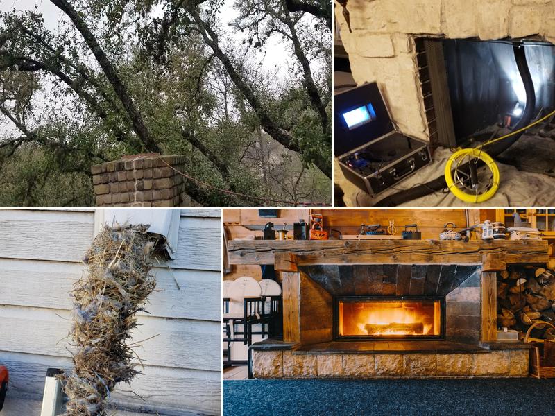 Nature's Own Chimney Cleaning