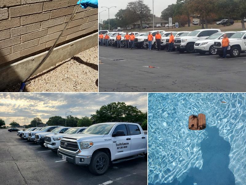 Texas Pest Elimination Services LLC