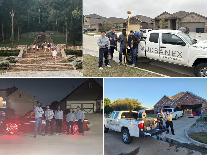 Urbanex Pest Control