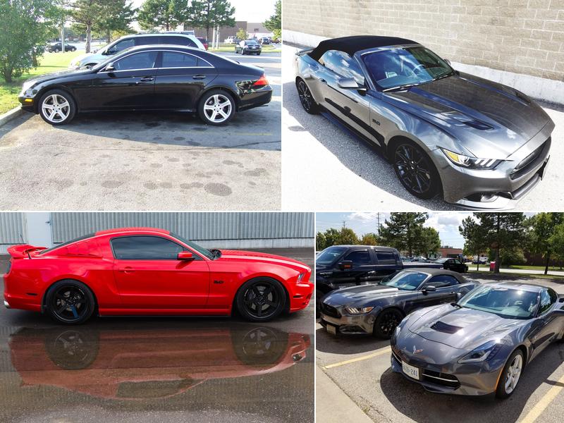 Tint Master Of Canada