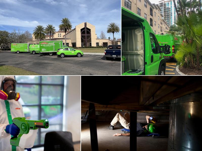 SERVPRO of Oldsmar/Westchase