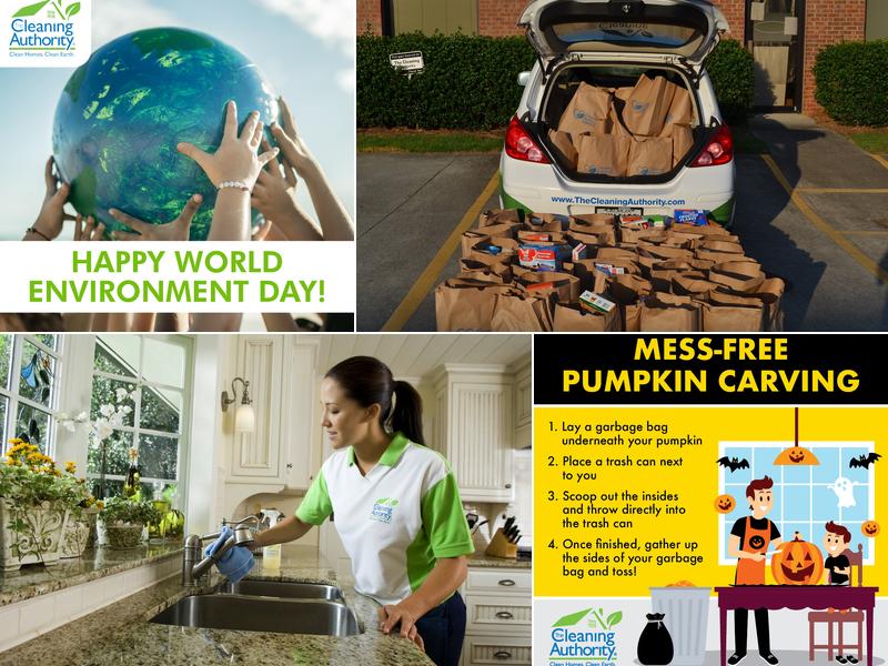 The Cleaning Authority - Duluth