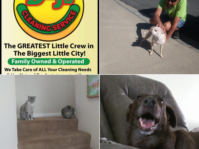 DnJ's Cleaning Services