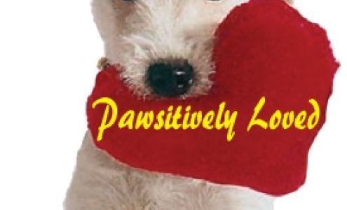 Pawsitively Loved Luxury Services (PLLS)