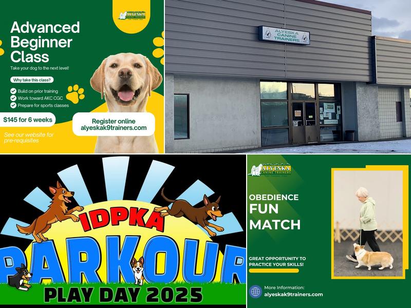 Alyeska Canine Trainers