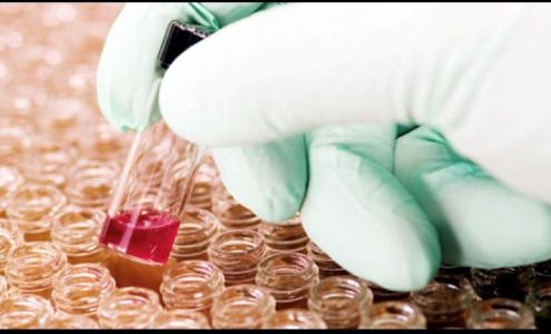 CSS Building Services