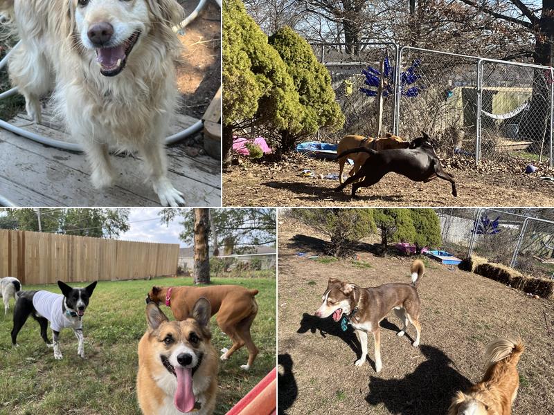 Fido's Bed n Biscuit LLC