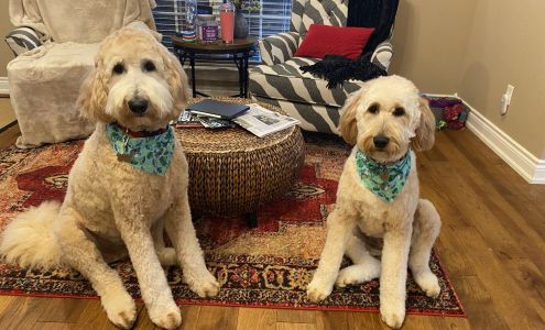 On Command K9 Academy