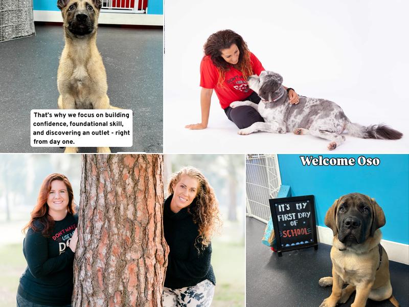 Canine Learning Academy