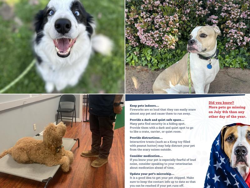 FC BOARDING&TRAINING